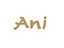 آنی