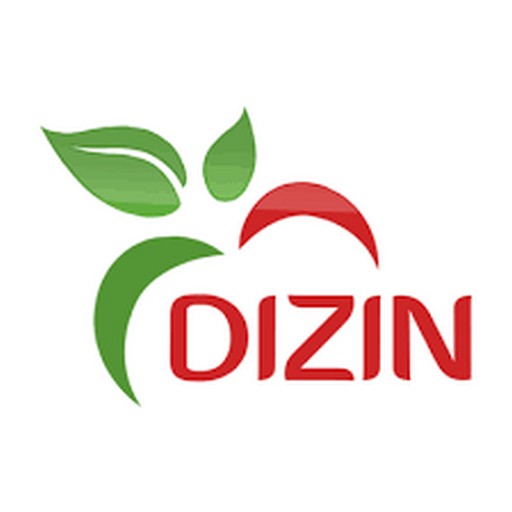 دیزین