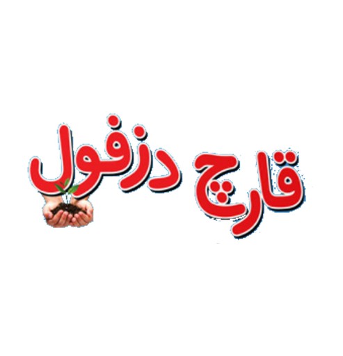 قارچ دزفول