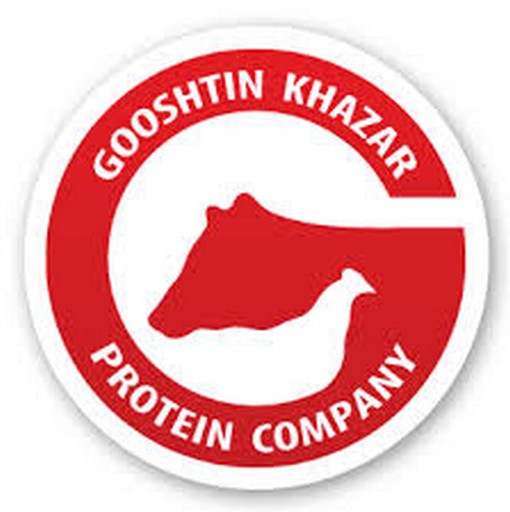 گوشتین