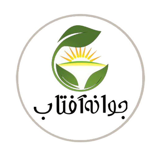 جوانه آفتاب