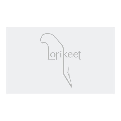 لاریکیت