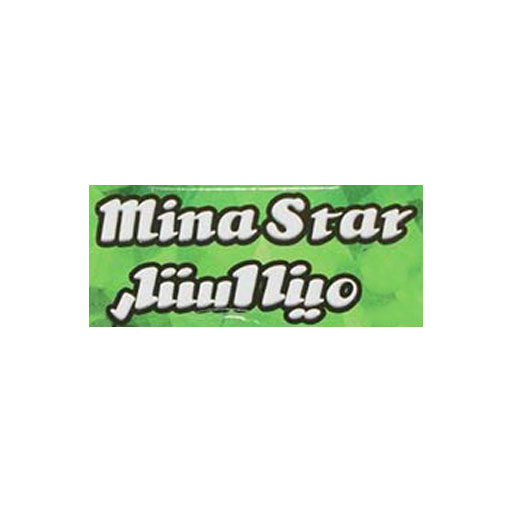 مینا استار