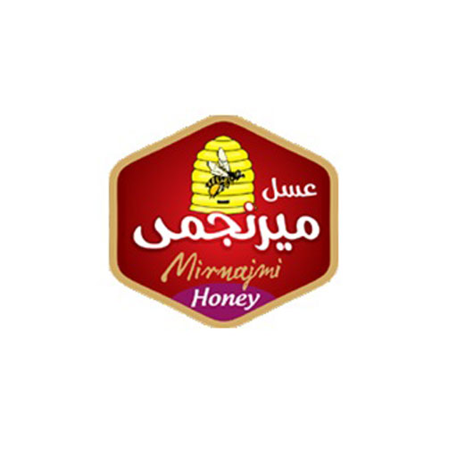 میر نجمی