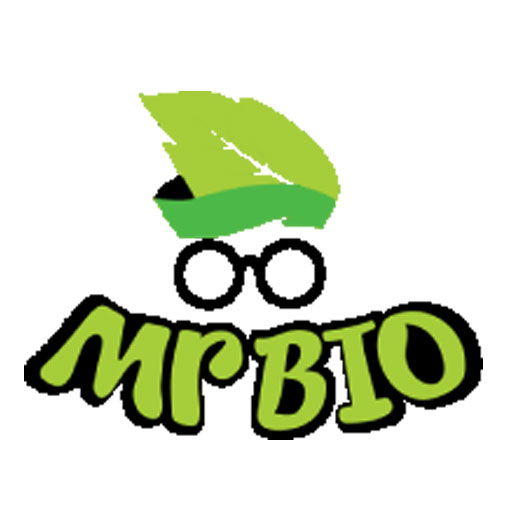 مستر بایو