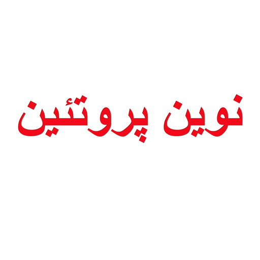 نوین پروتئین