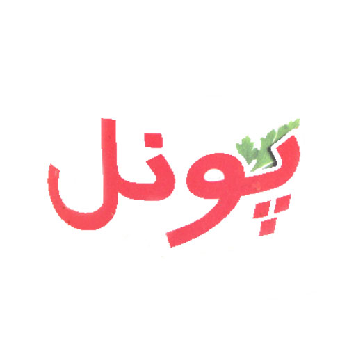 پونل