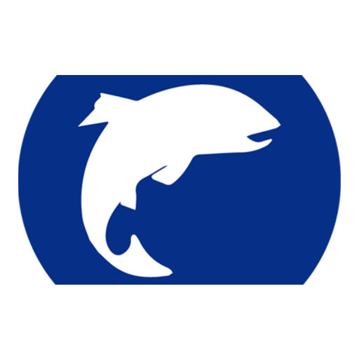 شیلتون