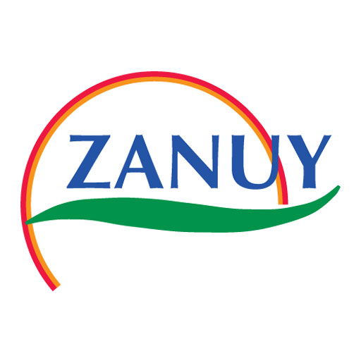 زانوی