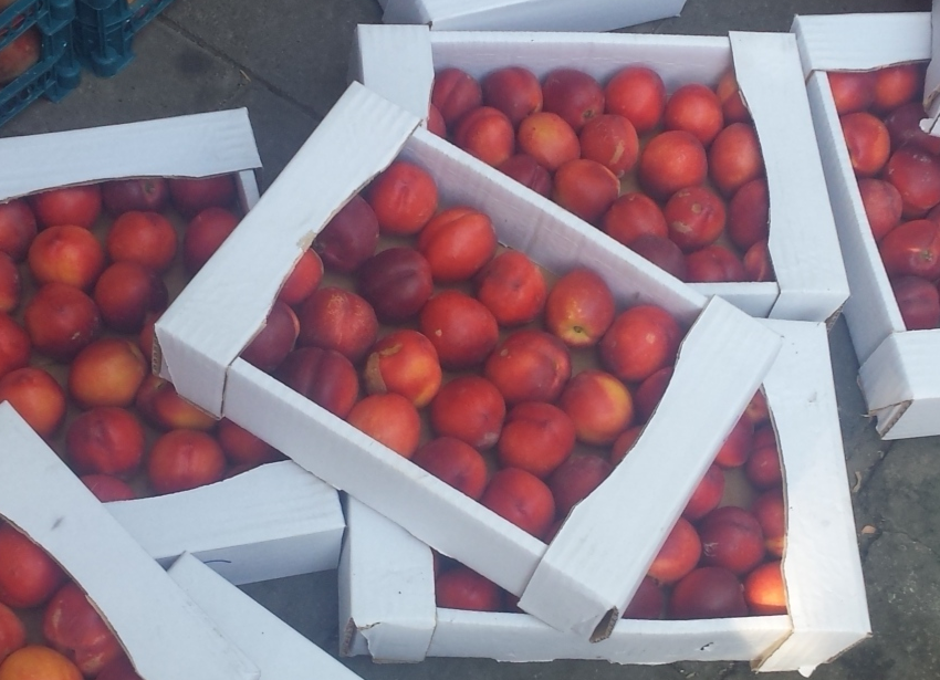 عرضه انواع محصولات تره باری (به صورت سورتینگ و بسته بندی شده توسط دستگاه های مکانیزاسیون) در #فروشگاه_محسن