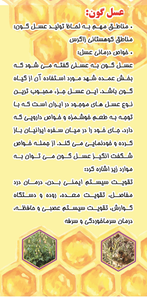 با خواص بی نظیر عسل گون آشنا شوید، برای تهیه عسل گون (دارای آنالیز آزمایشگاهی) مجموعه زنبورداری پیرانکو را انتخاب کنید و از تخفیف بی نظیر فروشگاه استفاده کنید.
#عسل #عسل_گون #عسل_خالص #عسل_طبیعی #عسل_با_آنالیز_آزمایشگاهی