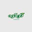 محصولات گل کوه در بیار