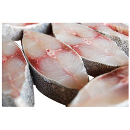 استیک ماهی باراکودا (چنگو) 1.5 کیلوگرمی آنلاین ماهی