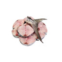 استیک ماهی شیر 1.5 گیلوگرمی آنلاین ماهی