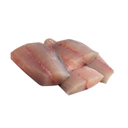 ماهی باراکودا (چنگو) فیله شده 1/5 کیلوگرمی آنلاین ماهی