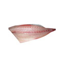 ماهی شیر بندر (سارم) فیله شده 1/5 کیلوگرمی آنلاین ماهی