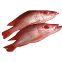 ماهی سرخو تازه پاک شده و کامل 3 کیلوگرمی آنلاین ماهی