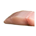 ماهی شیر فیله شده 1/5 کیلوگرمی آنلاین ماهی