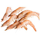 میگو سایز متوسط با سر 1/5 کیلوگرمی آنلاین ماهی