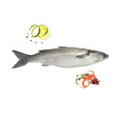 ماهی بیاح 1 کیلوگرمی ماهی دریا