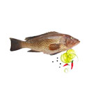 ماهی هامور 1 کیلوگرمی ماهی دریا