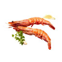 شاه میگو خلیج فارس (سایز 15-20) 1 کیلوگرمی ماهی دریا