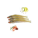 ماهی شورت 1 کیلوگرمی ماهی دریا