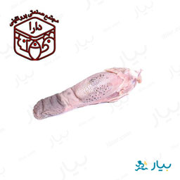 زبان گوسفند دارا