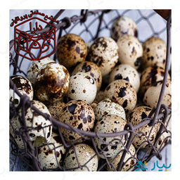 تخم بلدرچین دارا