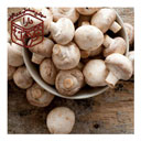 قارچ فله500 گرمی دارا