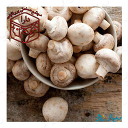 قارچ فله500 گرمی دارا