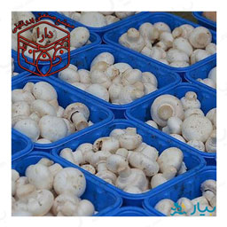 قارچ (بسته بزرگ) دارا