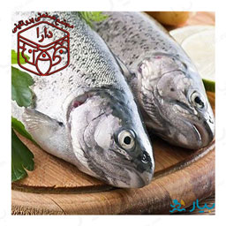 ماهی سفید بسته بندی شده 500 گرمی دارا