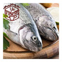 ماهی سفید بسته بندی شده 1 کیلوگرمی دارا