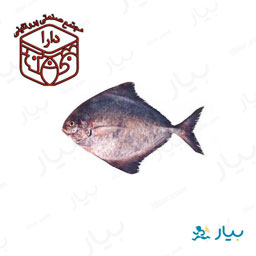 ماهی حلوا سیاه 1 کیلوگرمی دارا