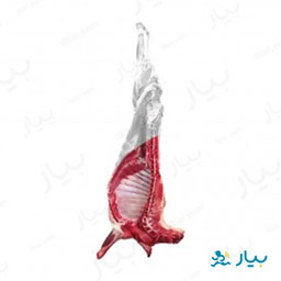 نیم شقه دست پروتیین هدیه مقدار یک کیلوگرم