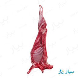 شقه گوسفندی نر مقدار 500 گرمی پروتیین هدیه