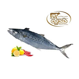 ماهی شیر 1 کیلوگرم پروتئین هدیه