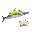 ماهی شیرنیزه دم سبز کوچک 1 کیلوگرمی پروتئین هدیه