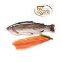 ماهی سالمون قزل 1 کیلوگرمی پروتئین هدیه