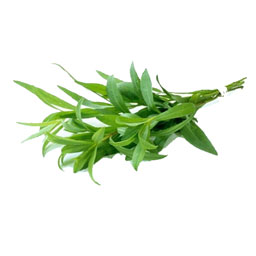 ترخون نیمه پاک شده 350گرمی میوه پلاس