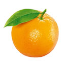 پرتقال 1 کیلوگرمی خانه توت فرنگی