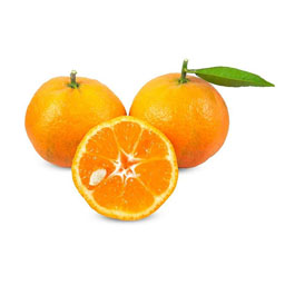 نارنگی 1 کیلوگرمی خانه توت فرنگی