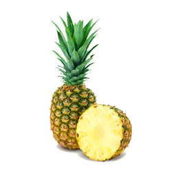 آناناس 1 عددی خانه توت فرنگی