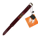 دستبند (زرشکی)