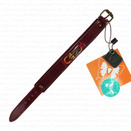 دستبند (زرشکی)