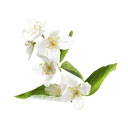 عرق بهار نارنج 1 لیتری کاکوتی