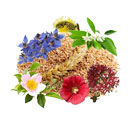 عرق معجون اعصاب 1 لیتری کاکوتی