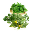 عرق معجون چاقی 1 لیتری کاکوتی