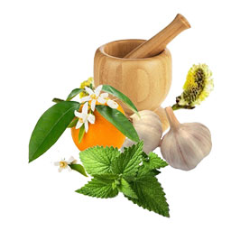 عرق معجون فشار خون 1 لیتری کاکوتی